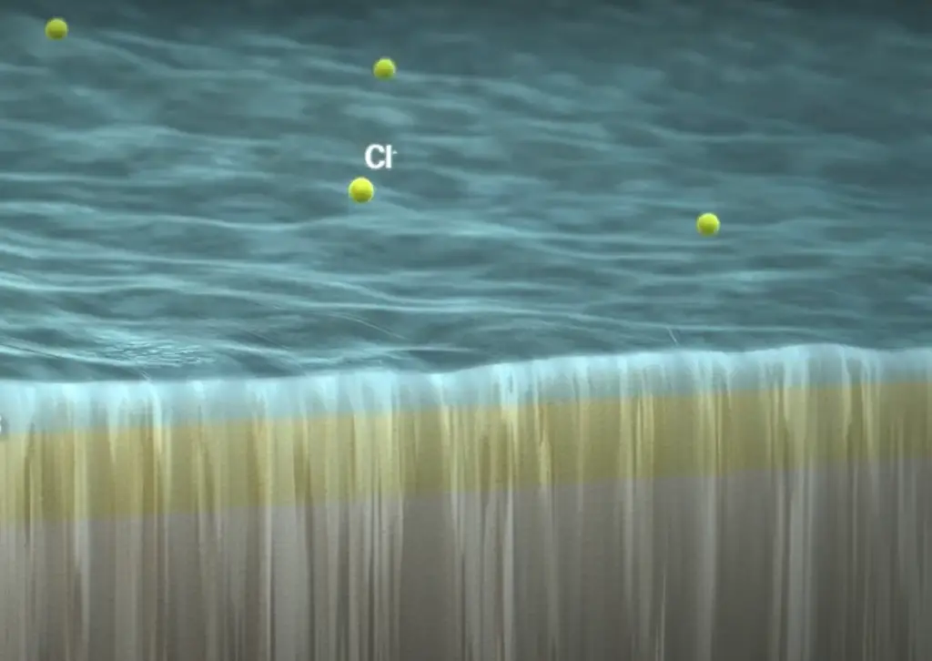 Is Stainless Steel Waterproof? Easy Explanation WaterproofWiki