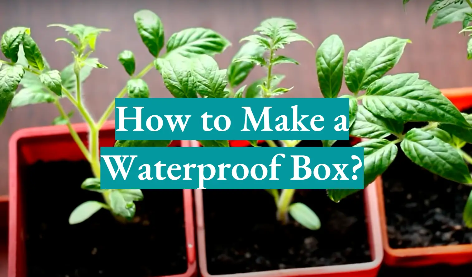 How to Make a Waterproof Box?