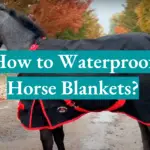 How to Waterproof Horse Blankets?