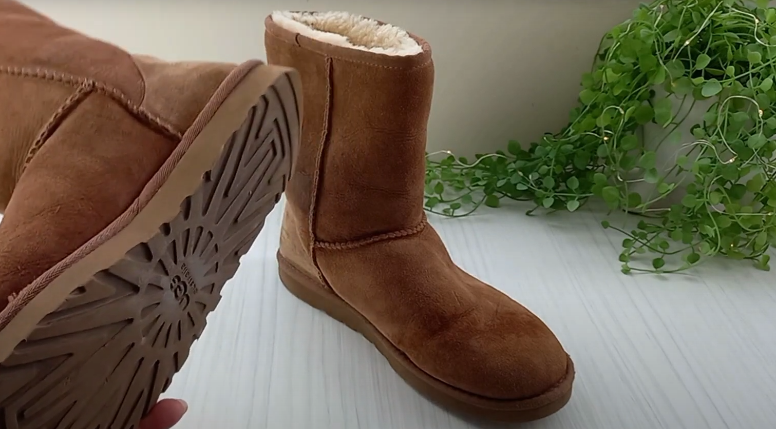 Are Bearpaw Boots Waterproof? - WaterproofWiki