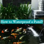 How to Waterproof a Pond?