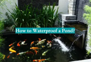 How to Waterproof a Pond?