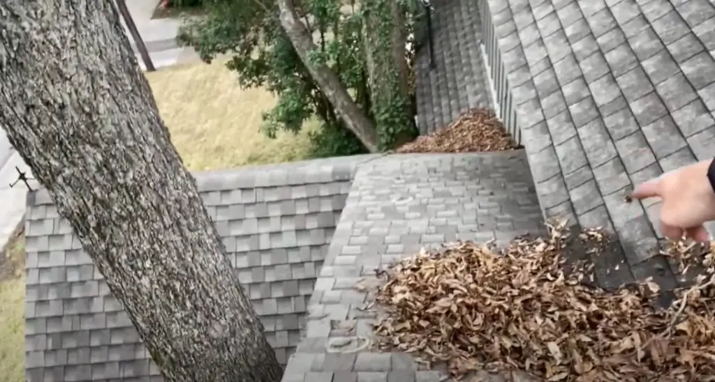 Is it bad to have leaves on your roof?