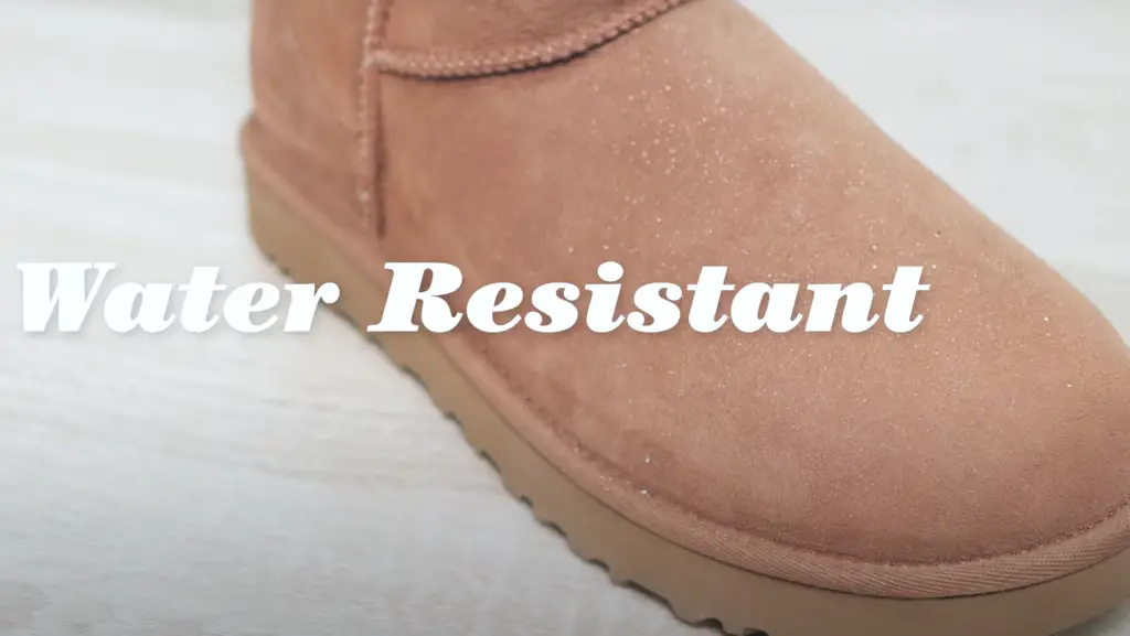 Water-Resistant Boots