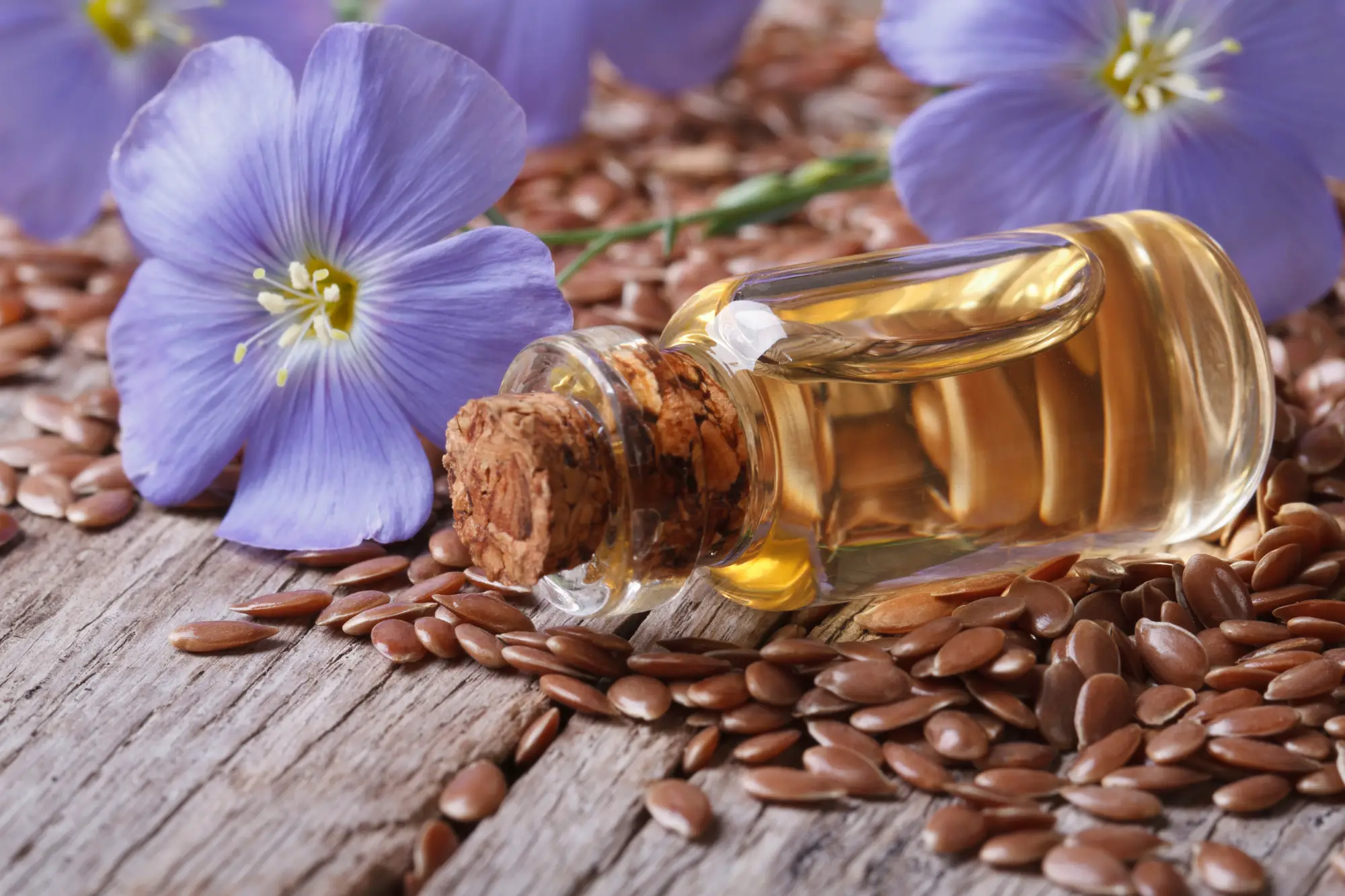 What is Linseed or Linseed Oil