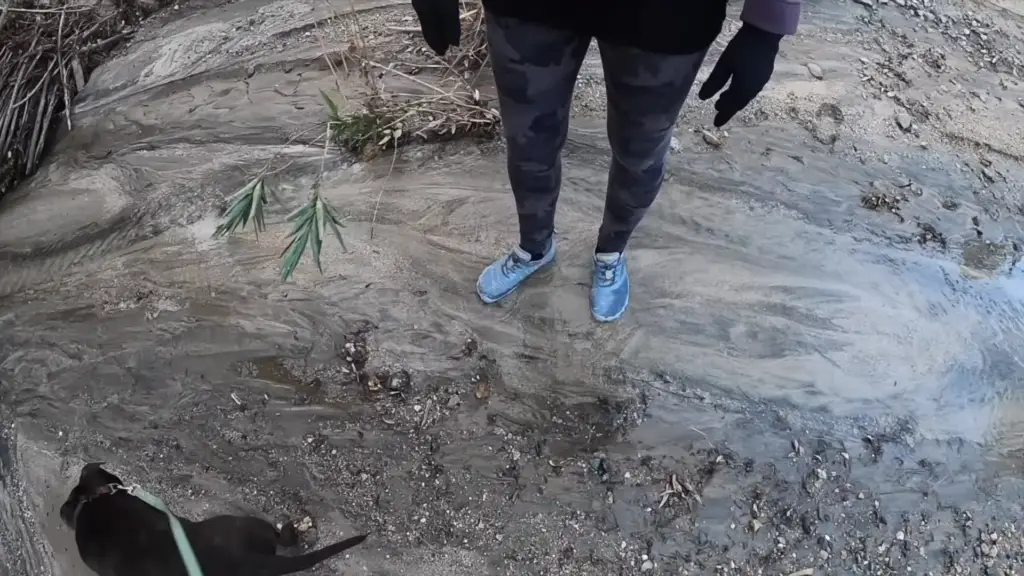 Do Waterproof Socks Work? WaterproofWiki