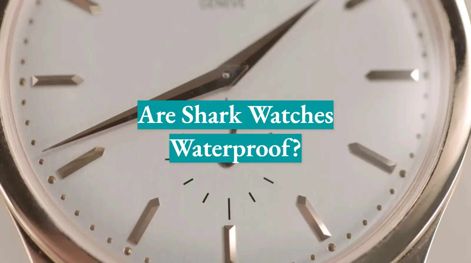 Are Shark Watches Waterproof?